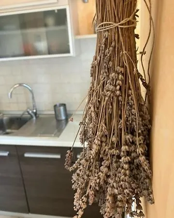Apartment Volta *